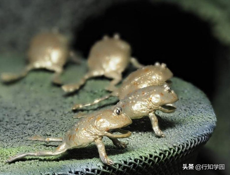 青蛙耳夹,卡通青蛙公仔耳夹