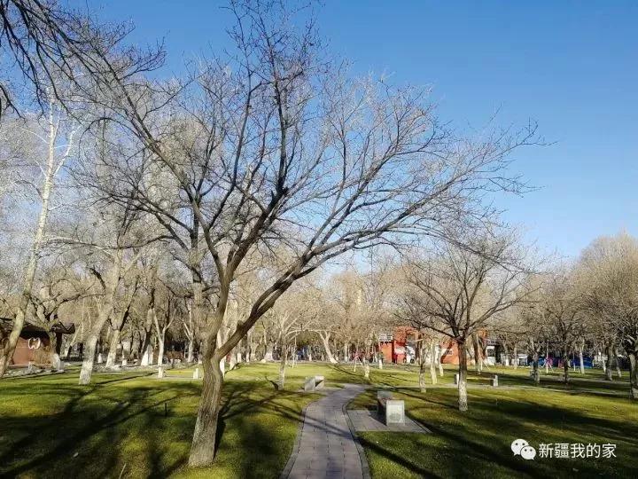 南公园，一代乌鲁木齐人的青春与回忆！