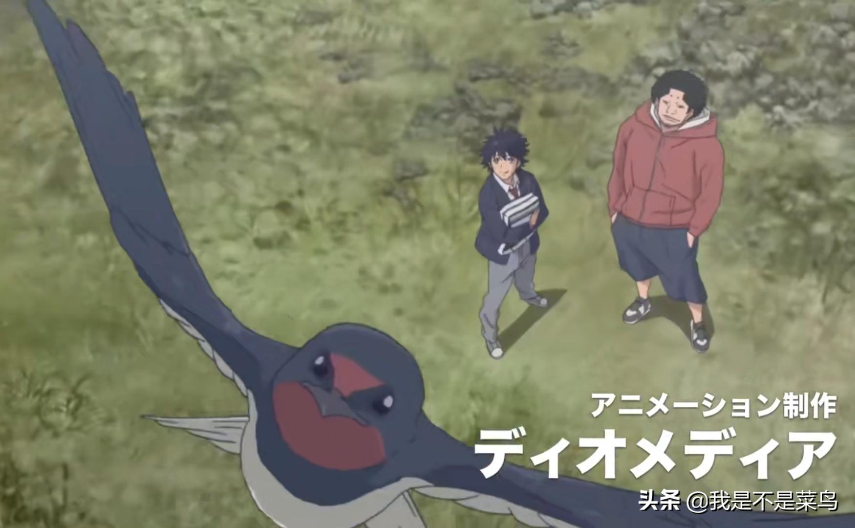 灌篮高手湘北篮球新版本,和灌篮高手一个时期的篮球动漫