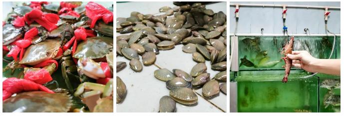 寻味金湾,金湾最出名的餐厅