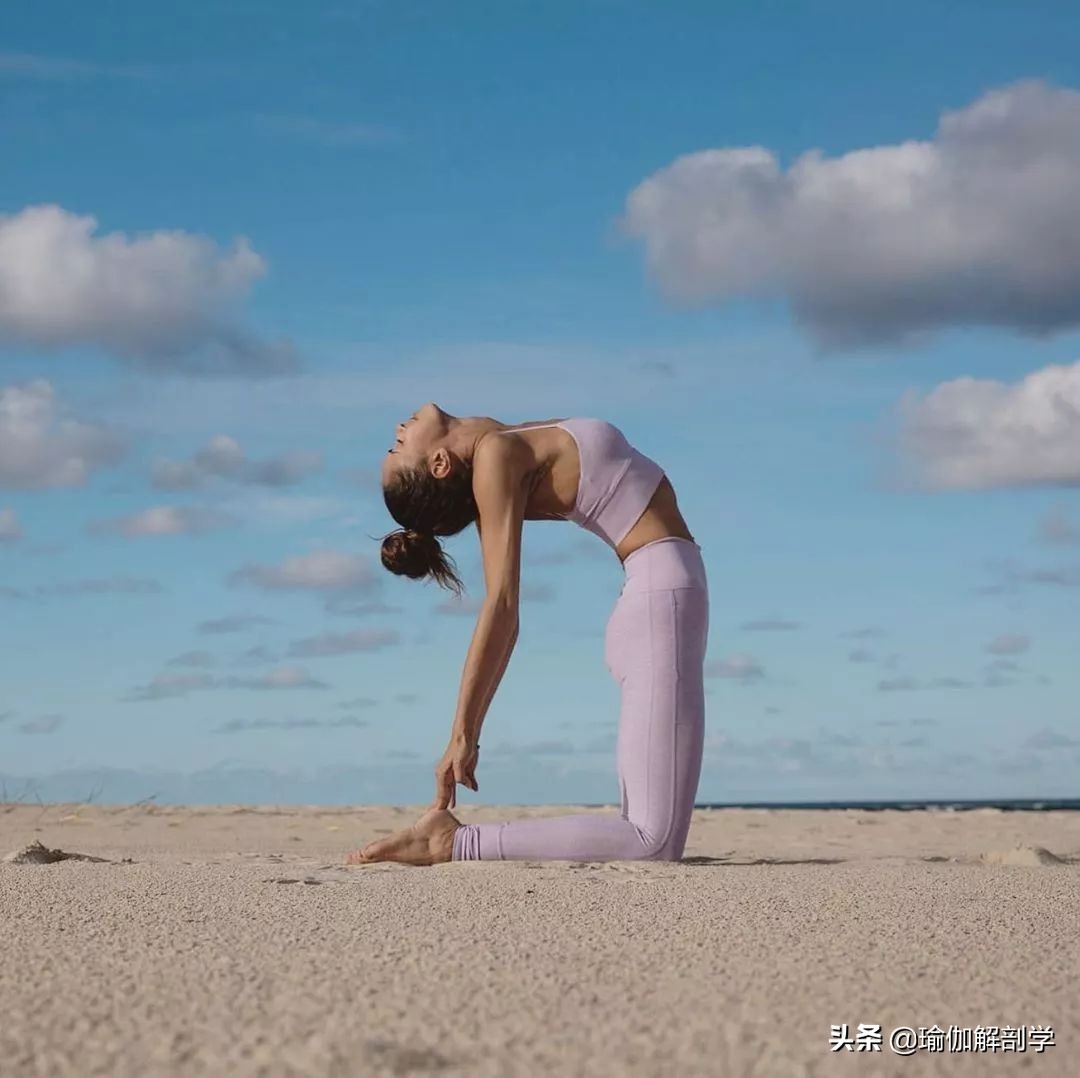 瑜伽从跪姿到坐姿有什么技巧,瑜伽跪式如何练习快速掌握平衡