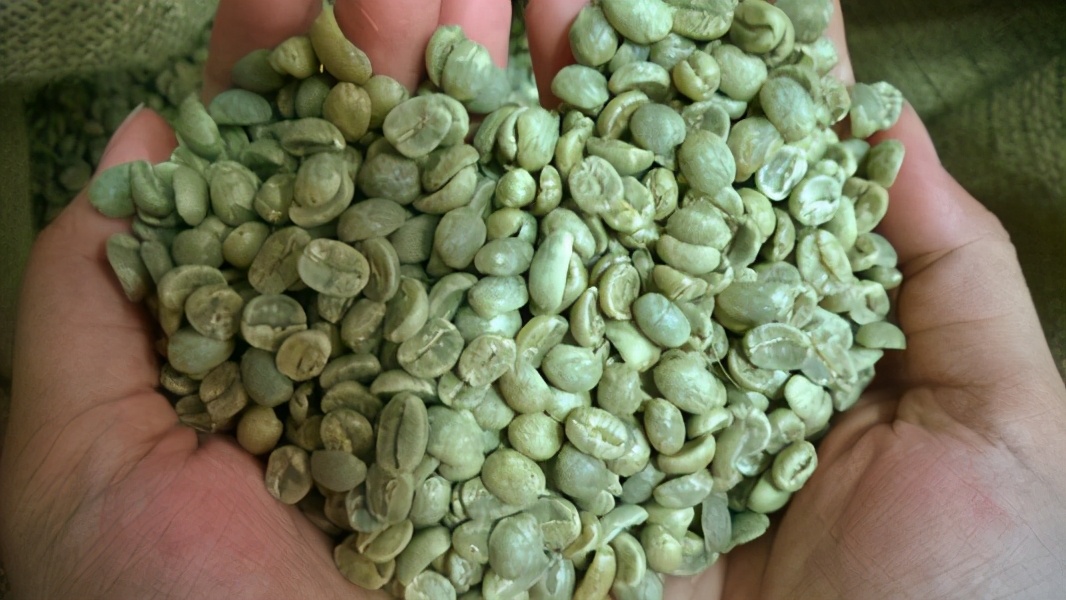 危地马拉十大冷知识,危地马拉有什么特别的