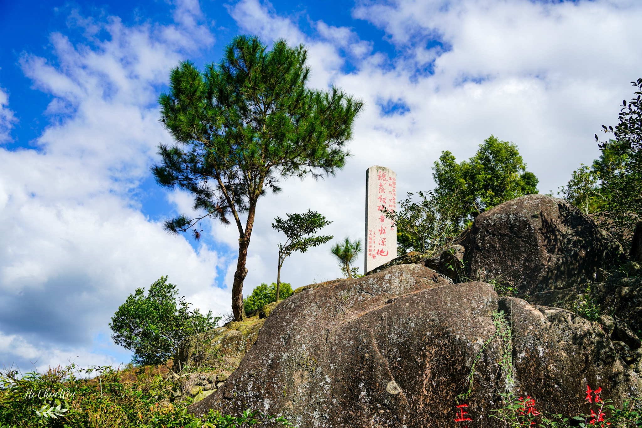 中国十大品牌铁观音茶叶,铁观音福建中国十大名茶