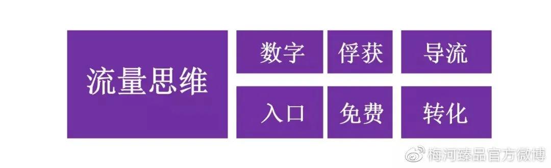 沙发课丨养粉丝、做IP就该这么玩！