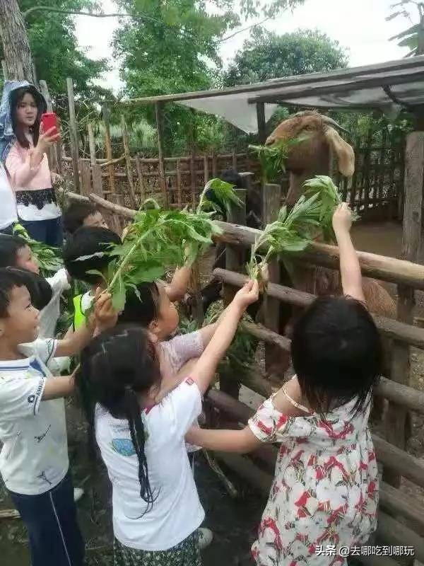 69.9抢惠州罗浮山漂流门票89元抢漂流门票+空中田园