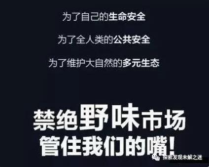 十大不能吃的野生蝙蝠,野生蝙蝠吃啥