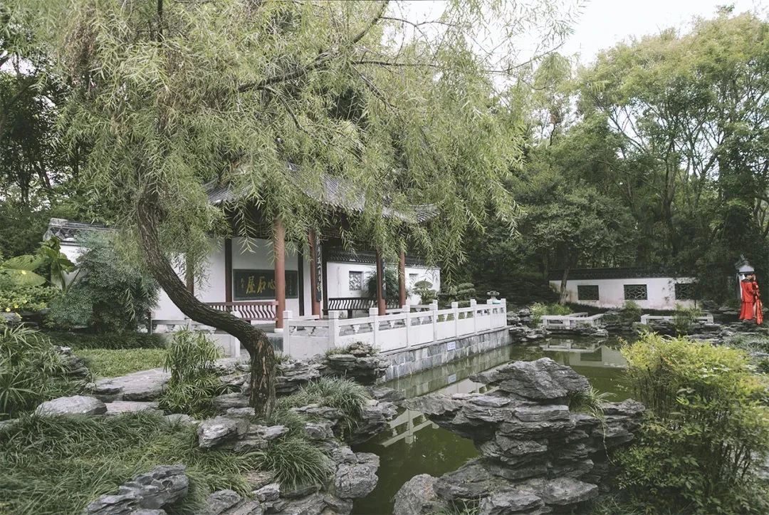 去深圳免费游玩的10个地方,深圳免费游玩景点推荐