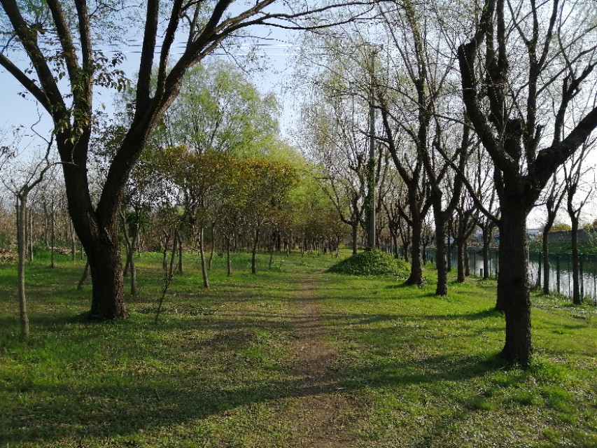 上海的农村民风淳朴，商品放在路边，没有老板，自己扫码拿了就走