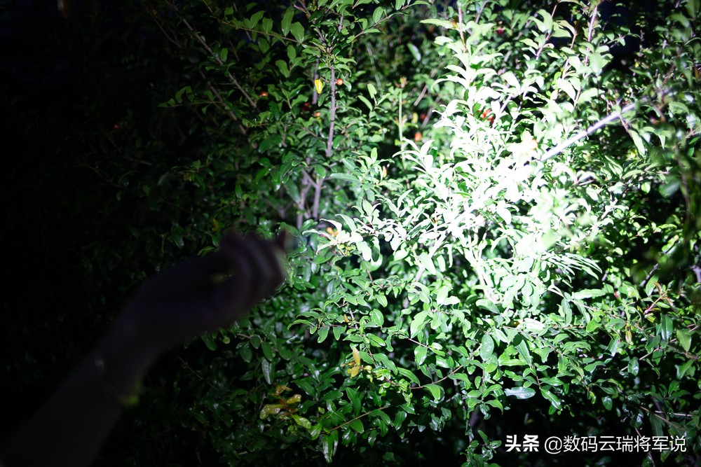 ​小有小的便利XTART2TypeC迷你可充磁吸式手电轻体验