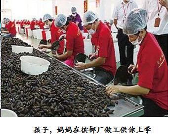 关于海南槟榔的那些二三事“槟榔哥”和“槟榔妹”们有同感吗？