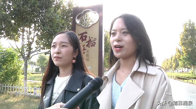 万紫千红迎国庆节图片,万紫千红迎国庆节丹桂飘香聚中秋