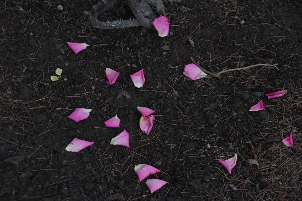 天坛同一天出去后能再次进入吗,告别天坛