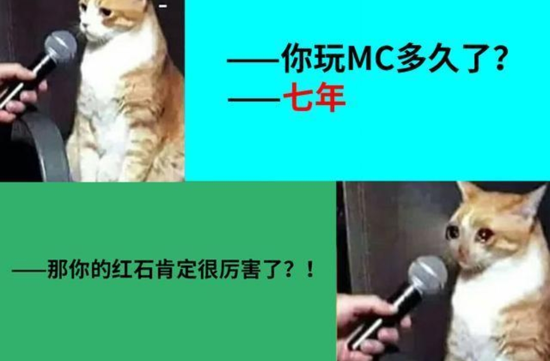 我的世界：MC老玩家秒懂的5张网络趣图，最后1图就是心灵暴击