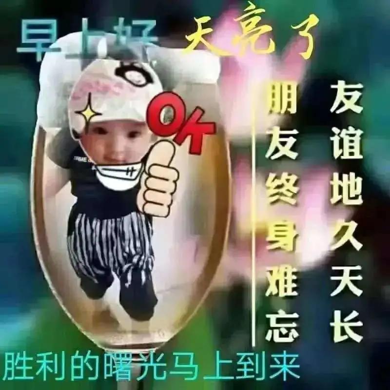 适合说早安的表情包,早安暖心话表情包图片