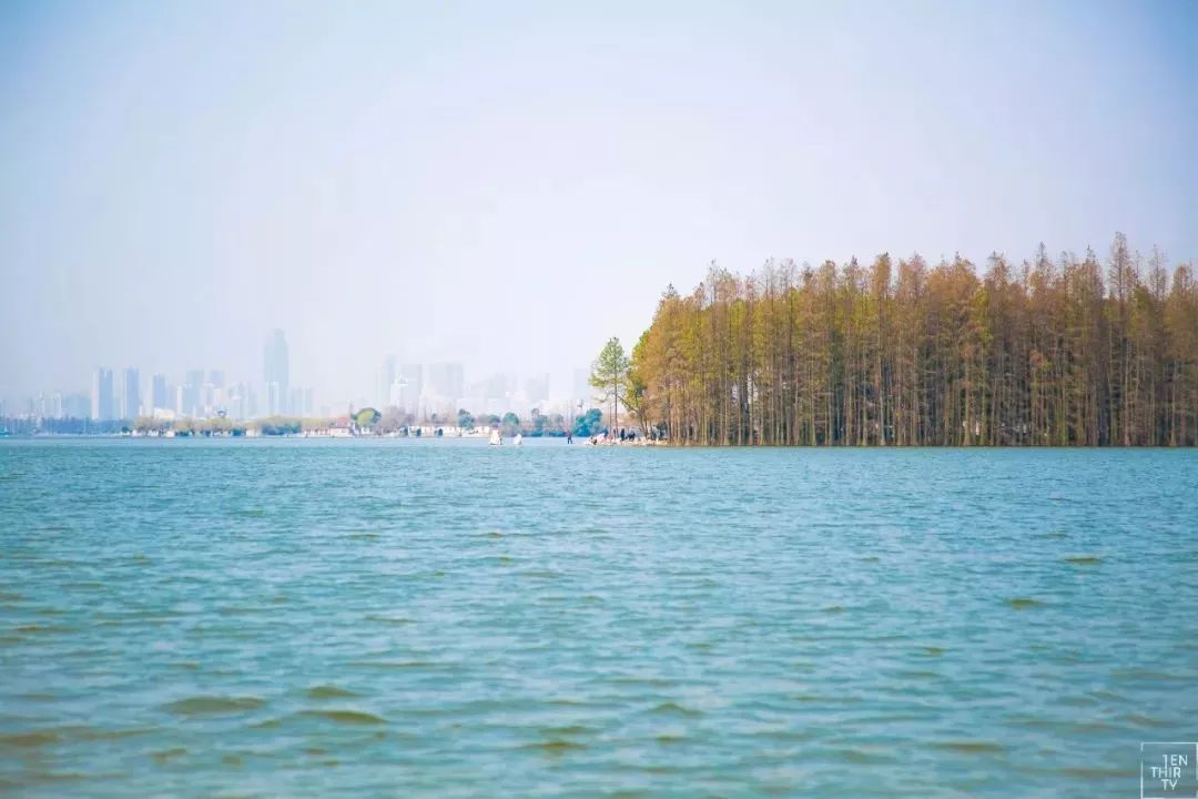 武汉必打卡排行榜,武汉十大打卡地