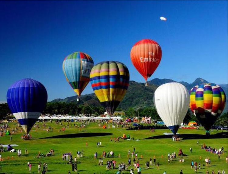 新春打卡重庆香水百合网红艺术节，坐小火车、玩玻璃滑道...