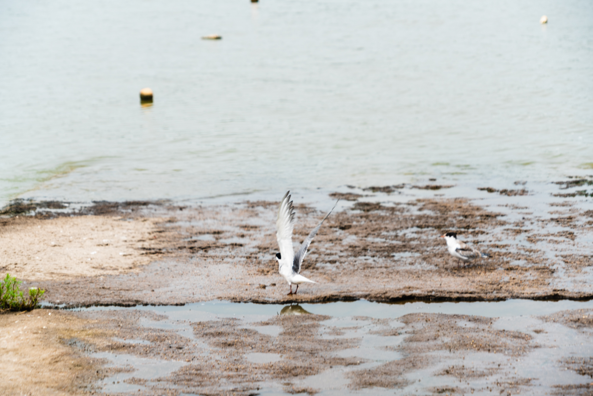 唐山适合1-4岁亲子游的地方,暑假遛娃旅游推荐唐山
