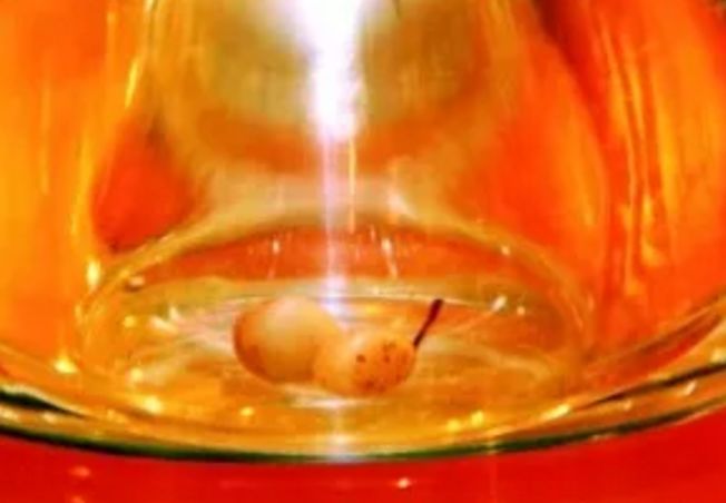 揭秘舍利子是怎么形成的,舍利子为什么只有高僧真品图片