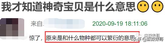 用假名YP，还接连劈腿？任豪的这连环瓜真绝了