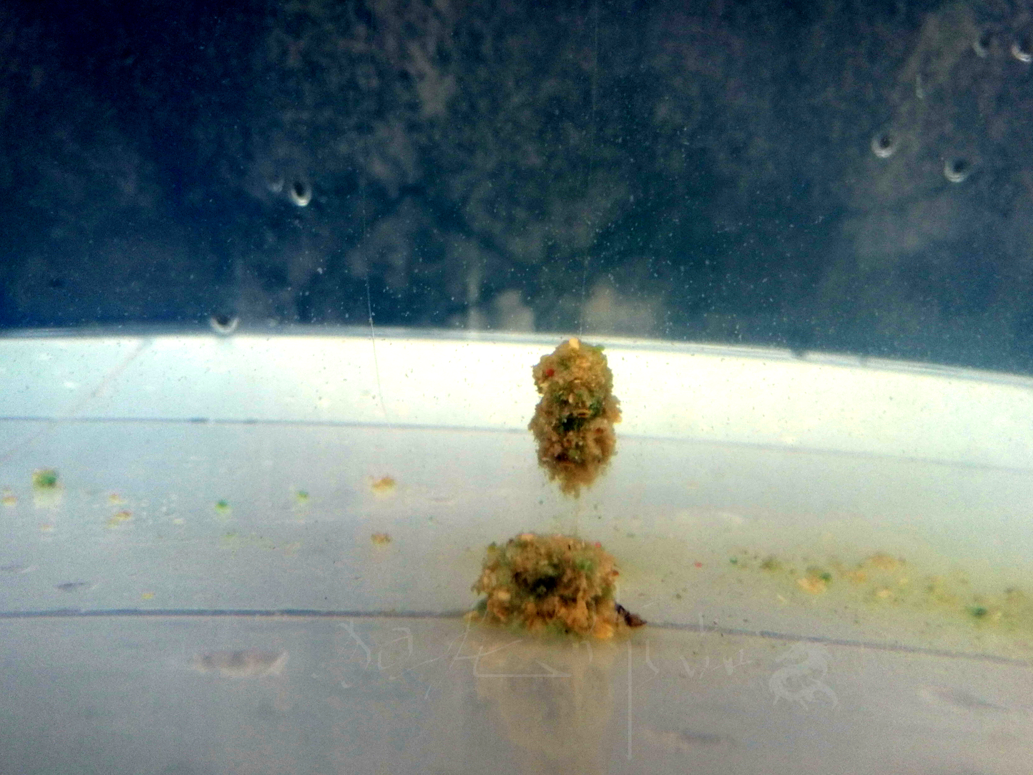 悬浮状态和漂浮状态,悬浮触底