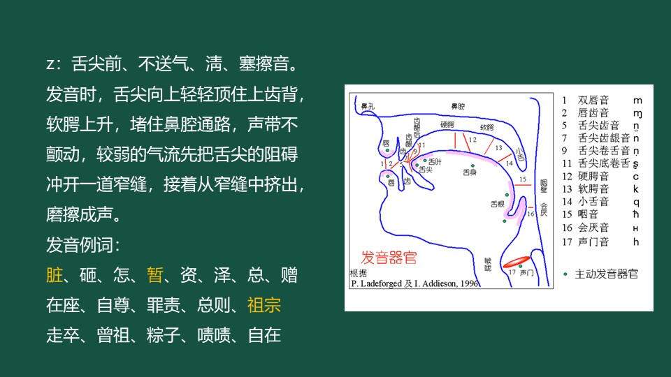 zh和z发音部位和发音方法的异同,声母z的发音