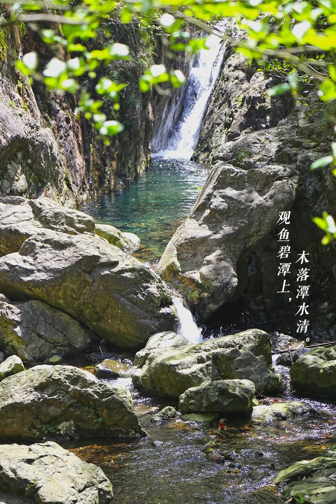 宁波避暑耍水胜地,宁波森林氧吧景区
