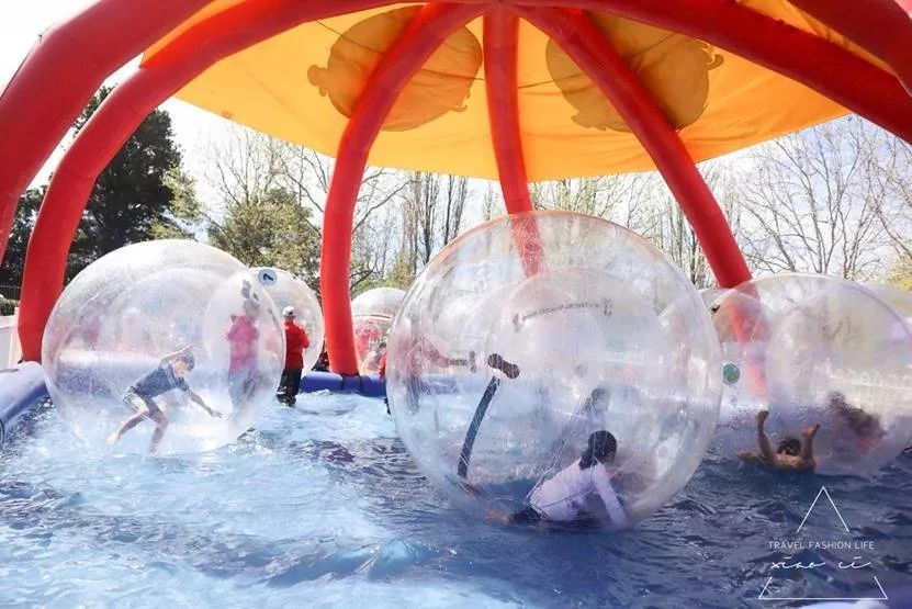 澳洲｜春意堪培拉，看袋鼠、品酒、赏花、住进动物的家