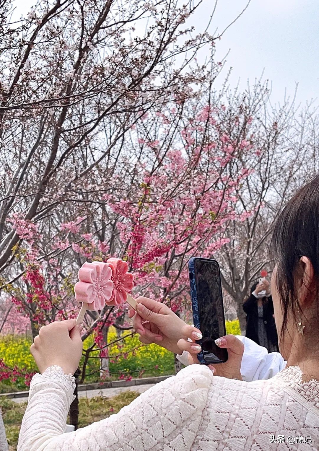 河南的夏天，万物皆可冰淇淋|豫记
