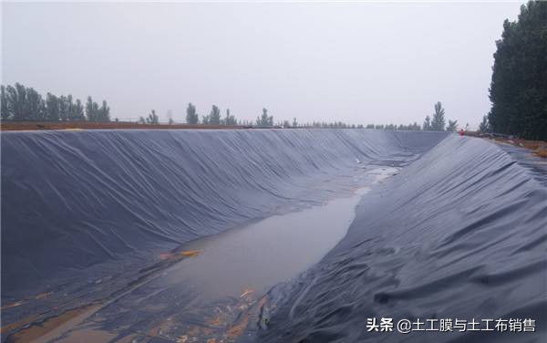 生态农业养殖价格表最新,绿色渔业养殖费用