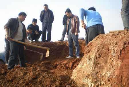 考古挖掘到“战国牛肉”,专家看到后一脸严肃!