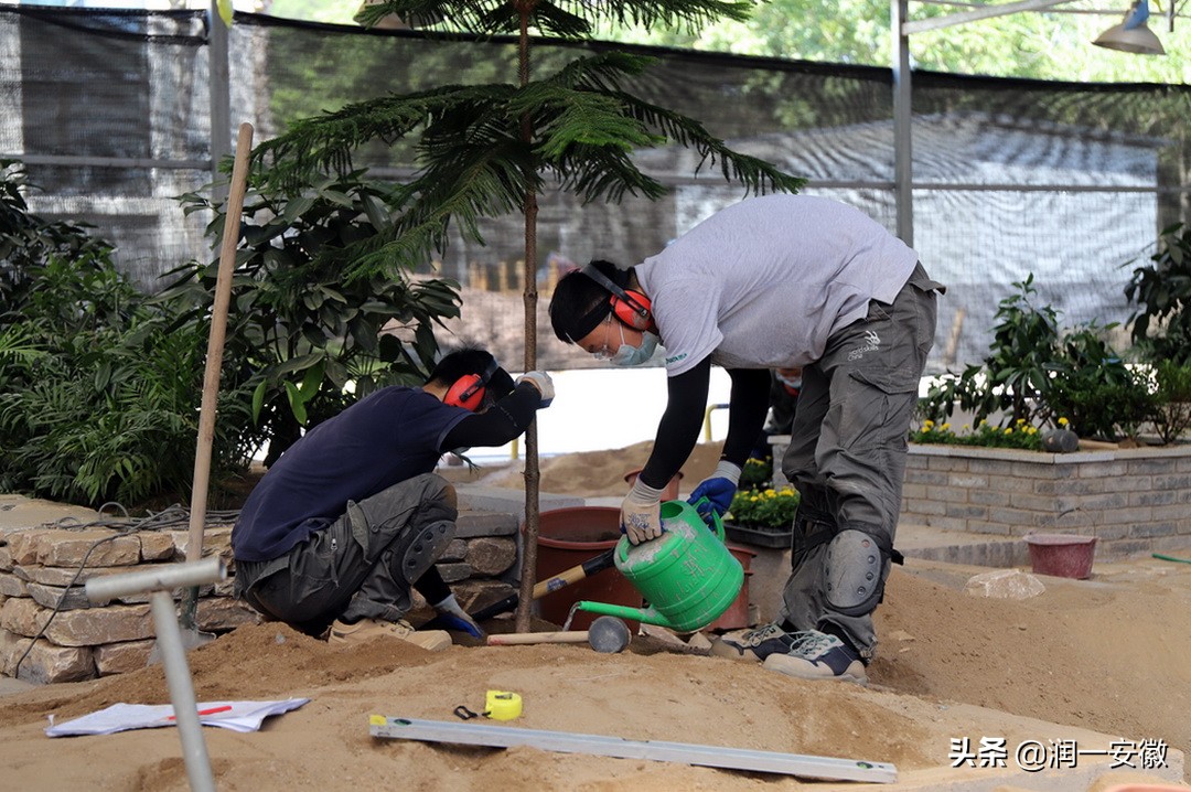 第47届世界技能大赛园艺选拔,第45届世界技能大赛花艺赛项