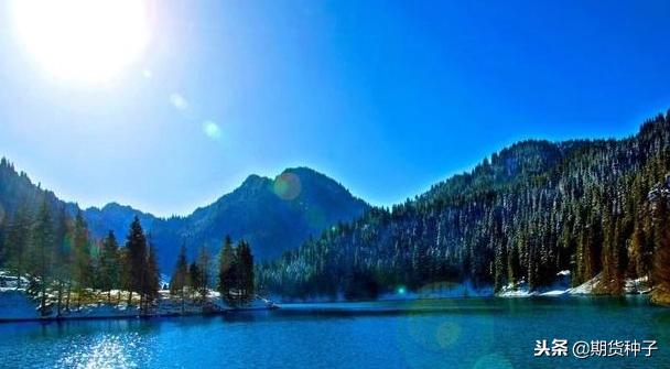 期货交易有哪些费用,期货交易5分钟战法