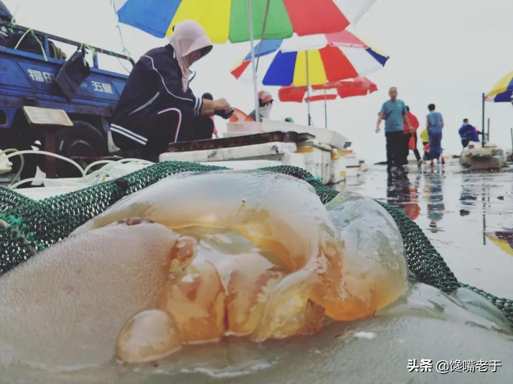 十月吃什么海鲜,六七月海鲜什么最好吃