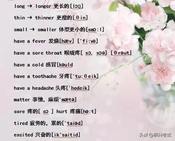 小学六年级单词音标复习,小学1-6年级必考词语