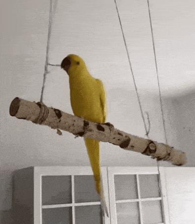 开心一刻gif下雨天,搞笑gif笑到肚子疼意外瞬间特辑