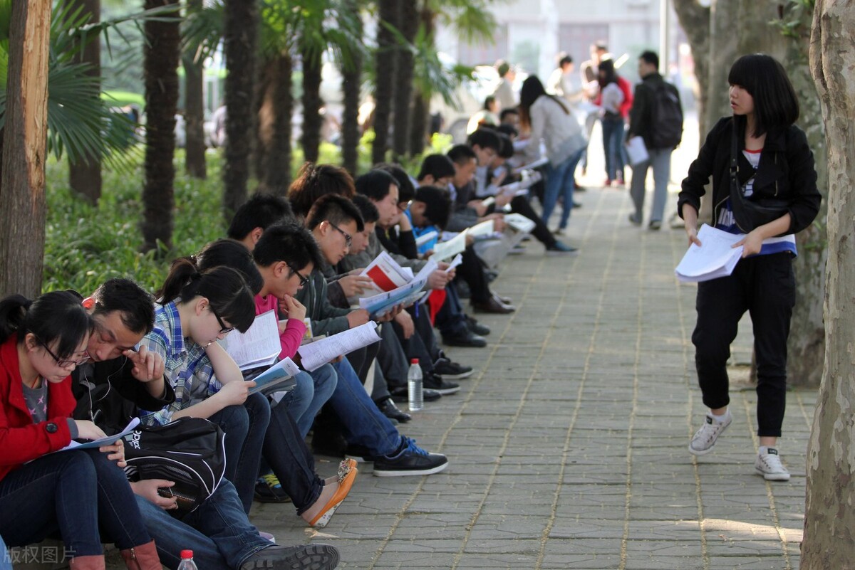 重庆定向选调生录取率,选调生和公务员考试哪个录取率高