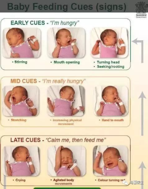 产后要不要催奶师,产后要不要开奶师按摩