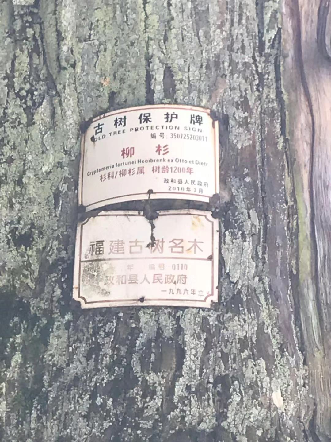 红曲酒的制作原理是什么,天台红曲酒的由来