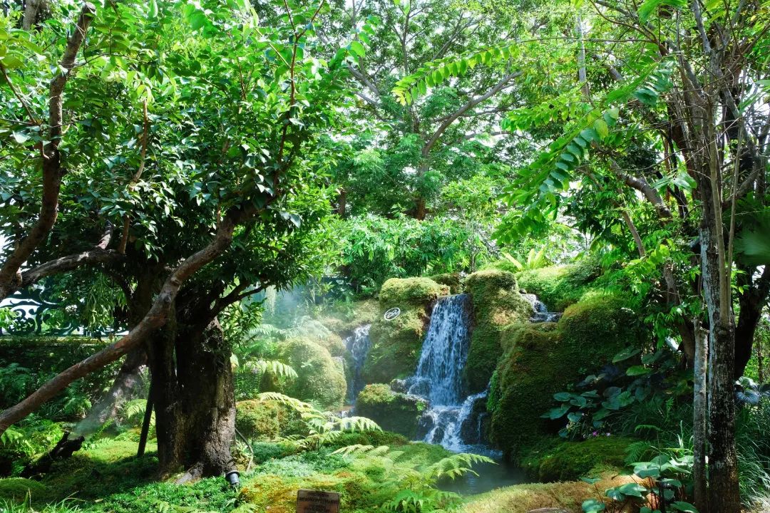 清迈美食攻略大全,最新清迈美食攻略