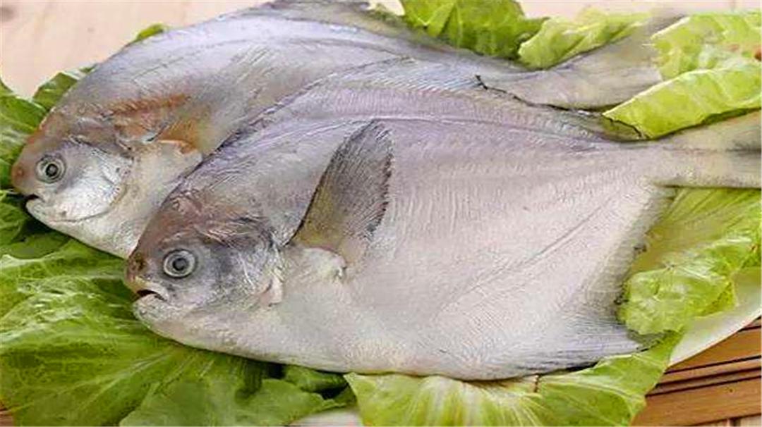 鱼刺扎伤手后感染的是什么菌,干鱼刺扎破手会感染细菌吗