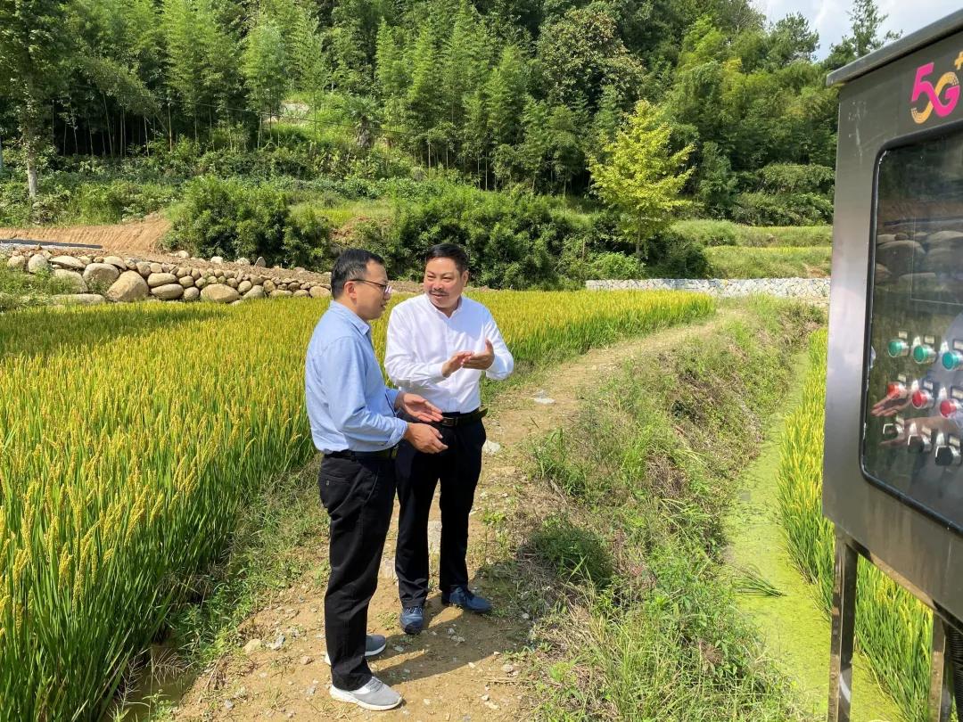 cctv村里来了个农业特派员,村里的联络员