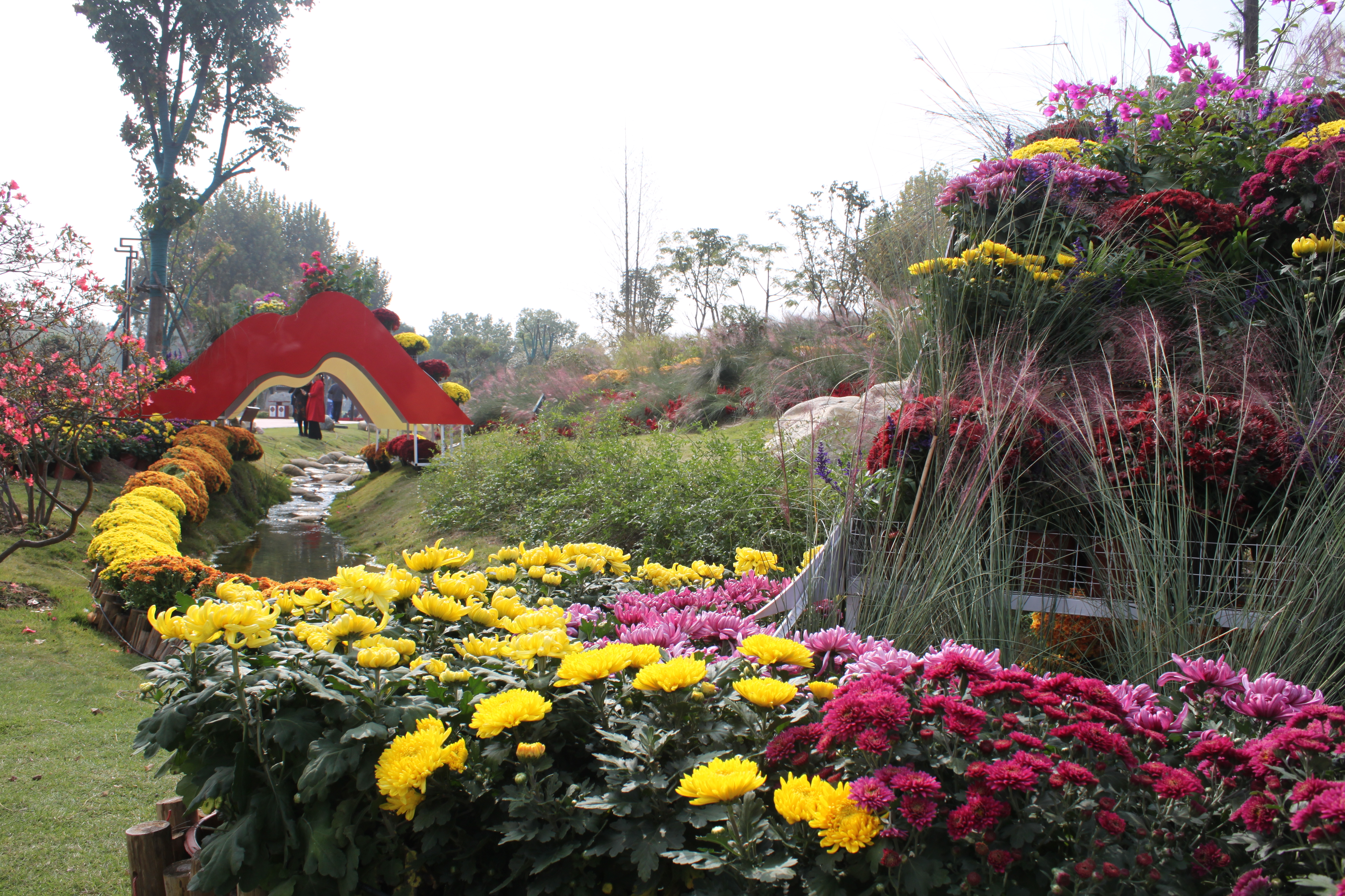 金秋时节菊展赏菊,趁着周末逛菊展