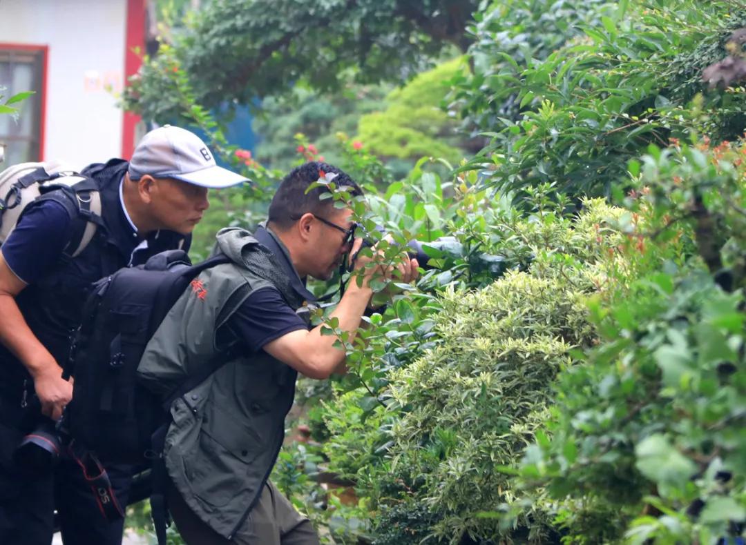 宿迁市沭阳县沭阳国际花木城,沭阳国际花木城布局