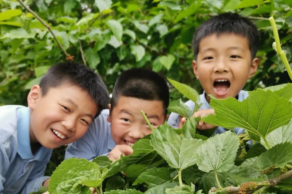 吴江太湖大学堂国际实验学校,苏州太湖大学堂附属学校