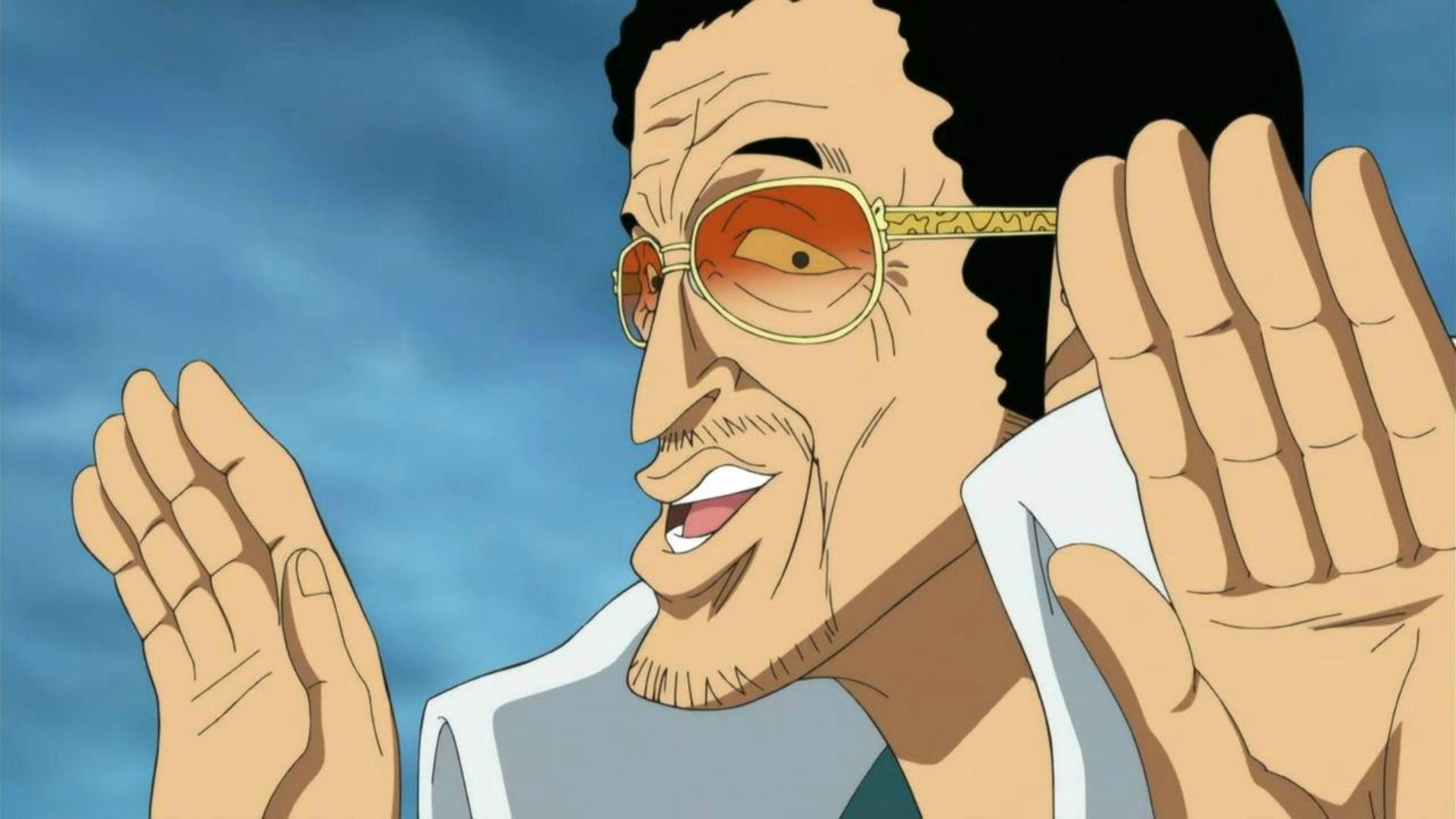 海贼王各个人物的代表,盘点海贼王动漫中的角色