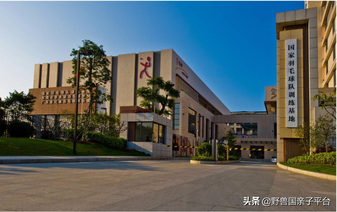 东莞儿童篮球培训机构哪个好,东莞儿童健身球哪家好