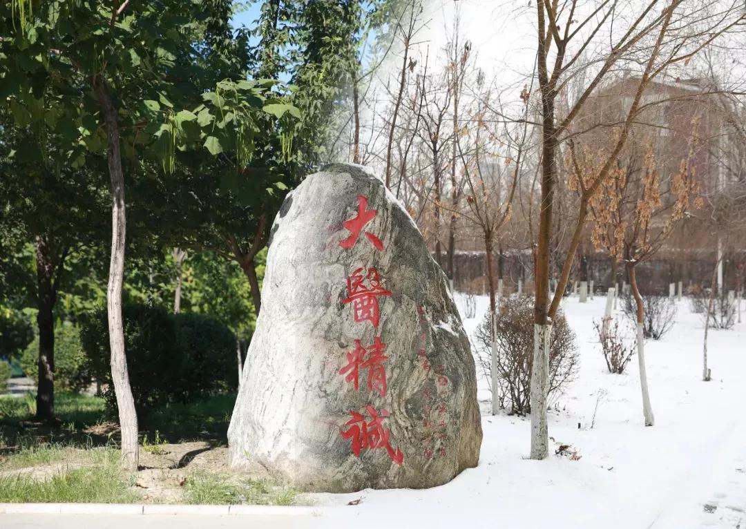 辽宁中医药大学杏林学院有独卫吗,辽宁中医药大学杏林学院属于3+2吗