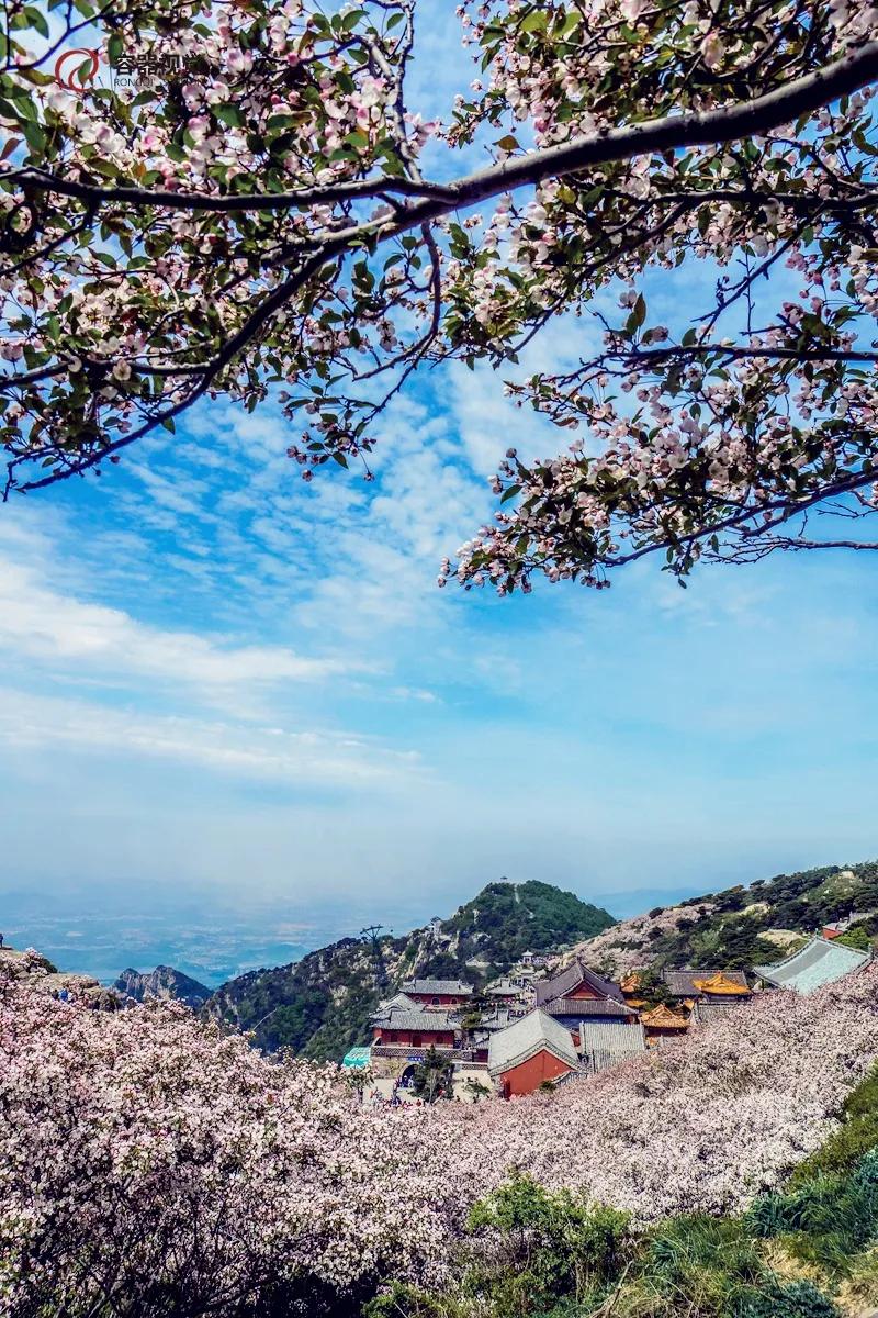 春天登山正确打开方式！这些藏在深处的秘境、美宿、茗茶在等着你！