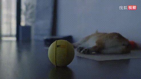 高科技硬核机器人,ces前沿的科技产品人形机器人