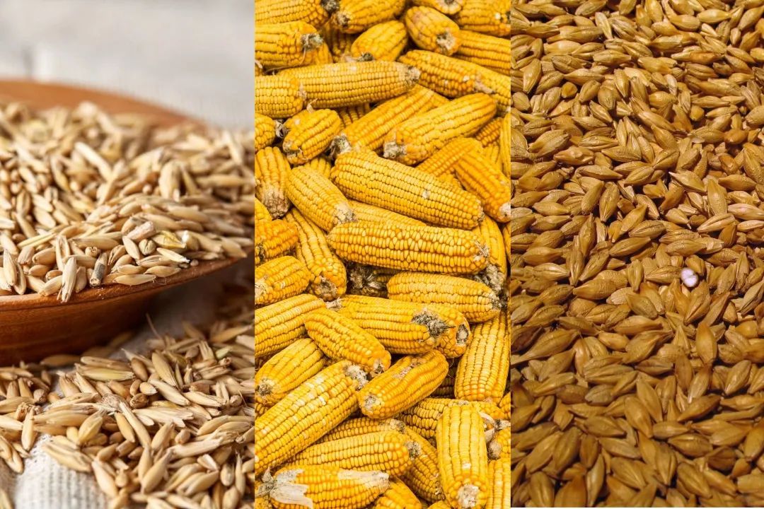 牛肉先锋|挑选好牛肉的锦囊妙计，“庖丁解牛”了解一下